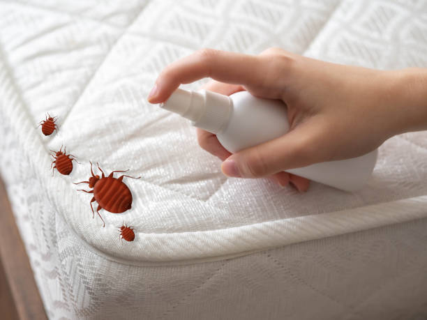 Best Best Pest Control Companies  in Glenmont, MD
