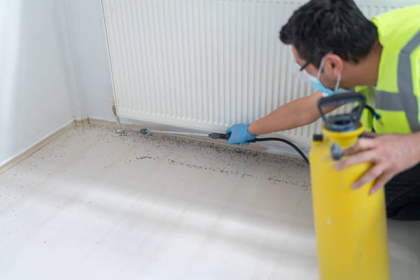 Best Emergency Pest Control  in Glenmont, MD