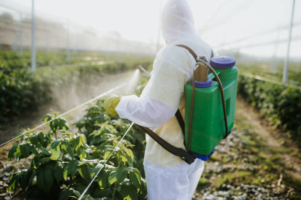 Best Affordable Pest Control Services  in Glenmont, MD